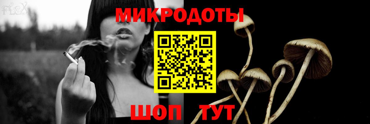 Качканар  Псилоцибиновые грибы Psilocybe  продажа наркотиков  Вход с VPN 